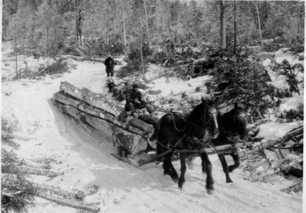 Horses pulling lumber through snow.