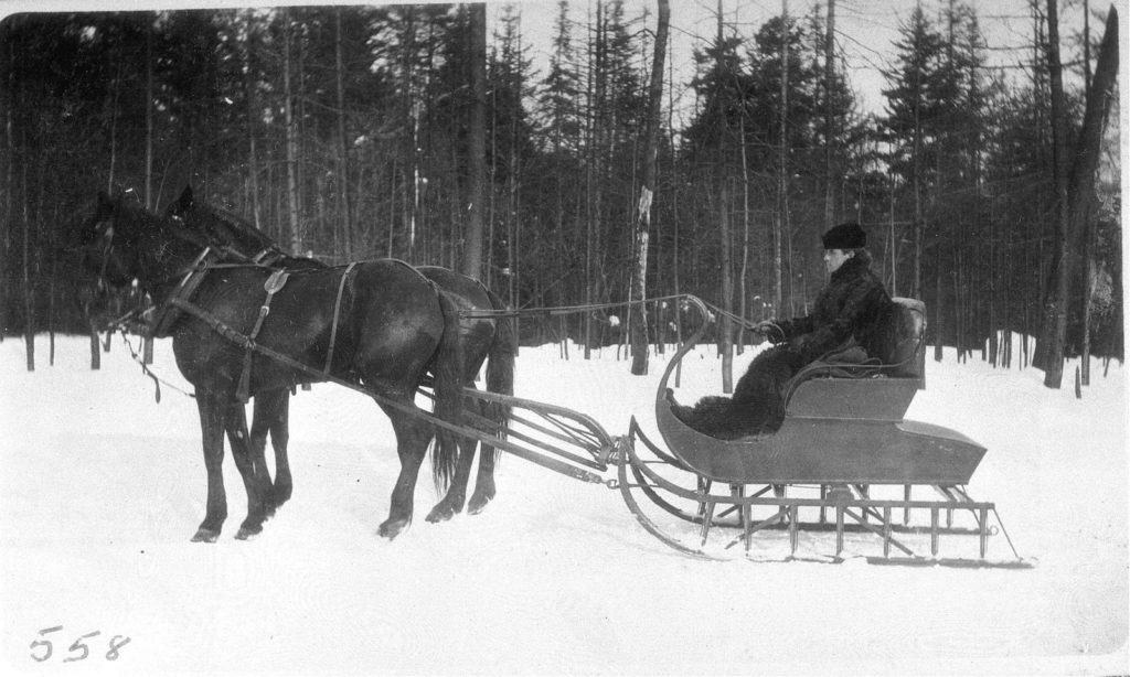 Horse-drawn sled in the snow.