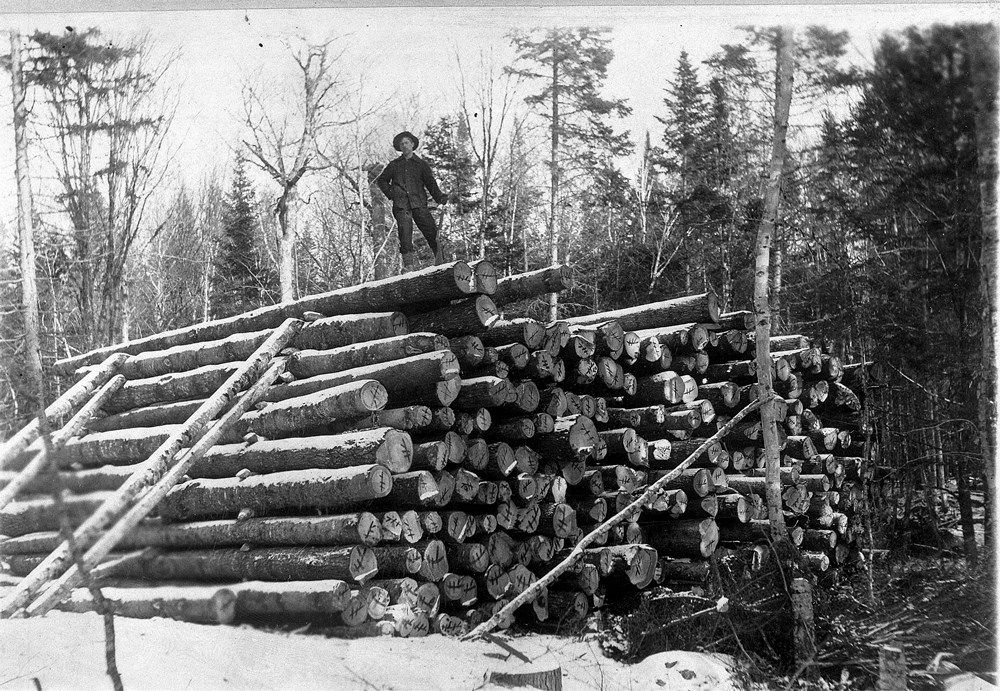 Man standing on top of pile of logs.